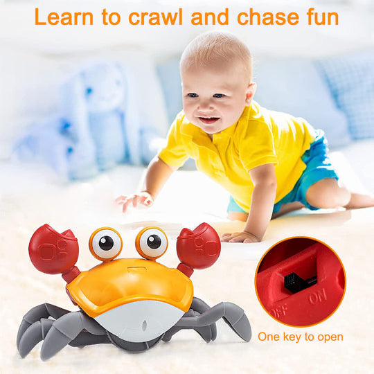 Crabe rampant pour enfant - Crabichou®